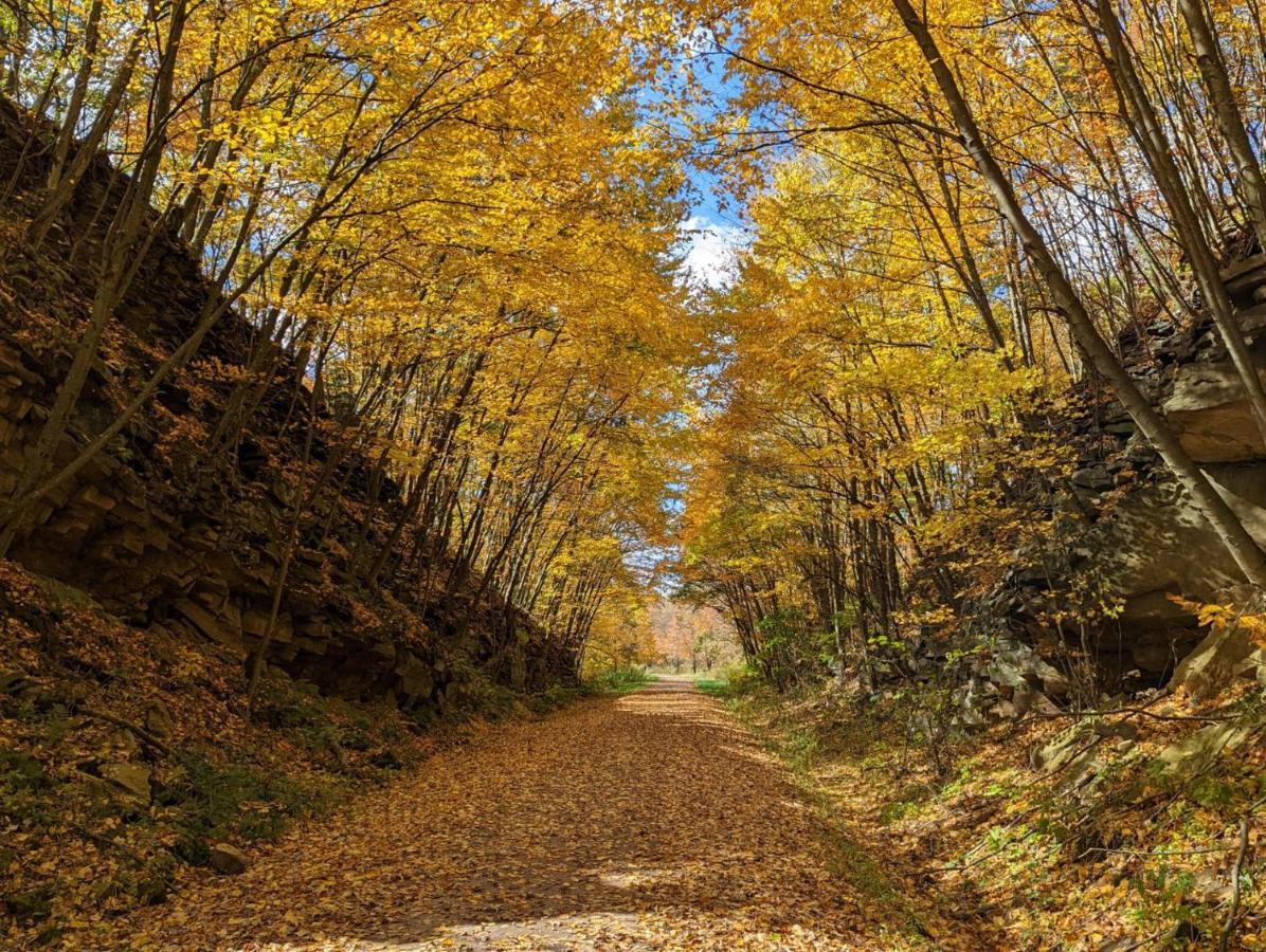 Stay In Ohiopyle In The Middle Of Town By The Gap Trail Zewnętrze zdjęcie